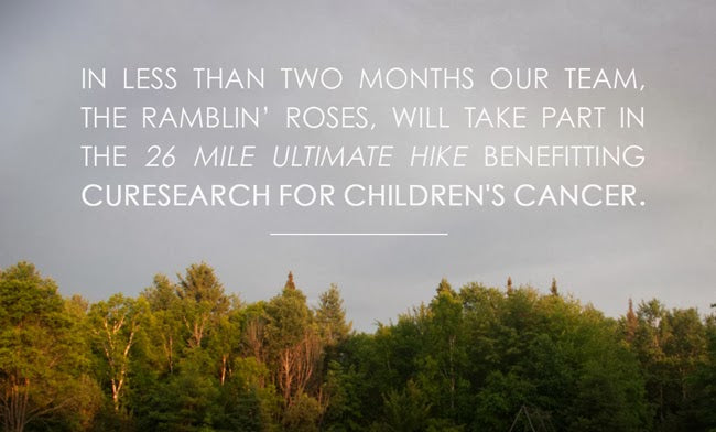 We Appreciate Your Support! The Ultimate Hike benefitting CureSearch for Children's Cancer
